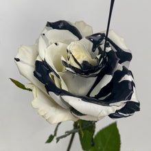 Load image into Gallery viewer, White Rose with Black