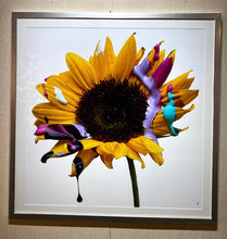 Load image into Gallery viewer, Sunflower