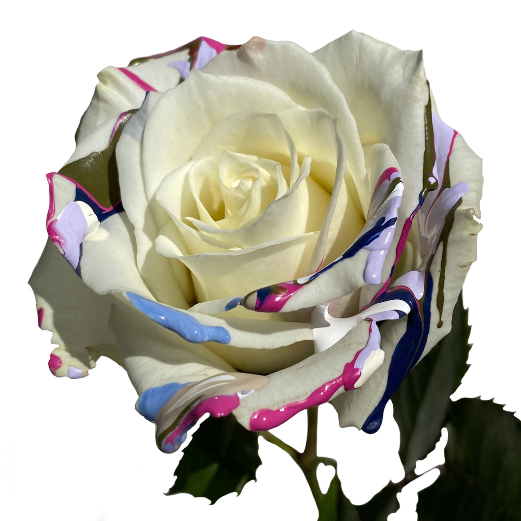 White Rose with Periwinkle